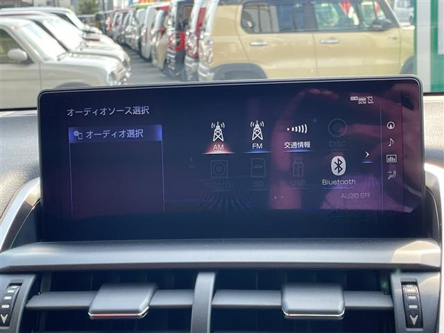 NX300 Fスポーツ