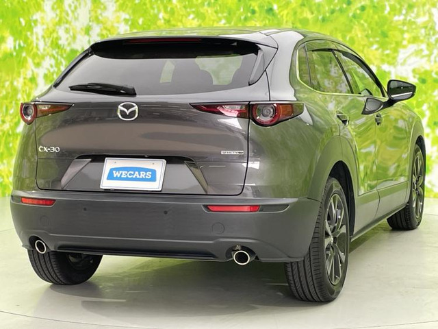 CX-302.0 20S ブラックトーンエディション