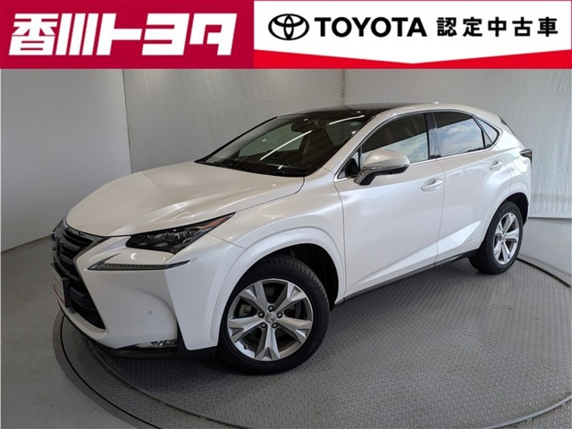 NX300h バージョンL 4WD