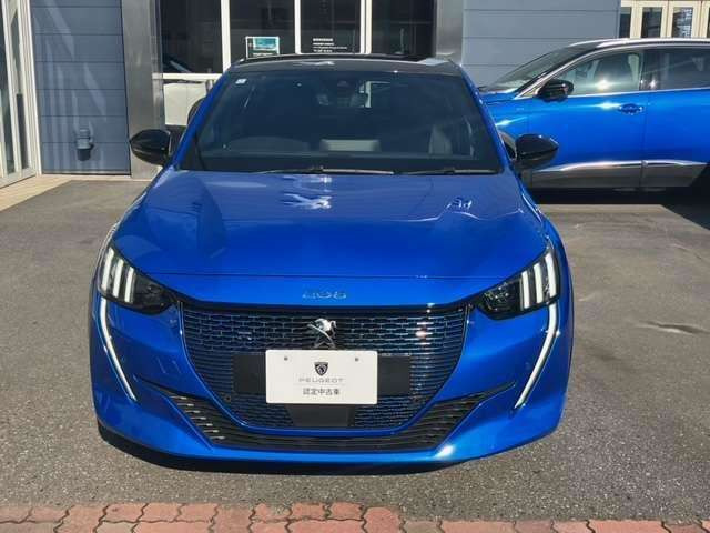 e-208GT
