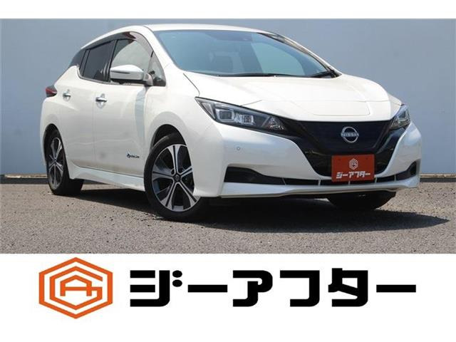 リーフX Vセレクション