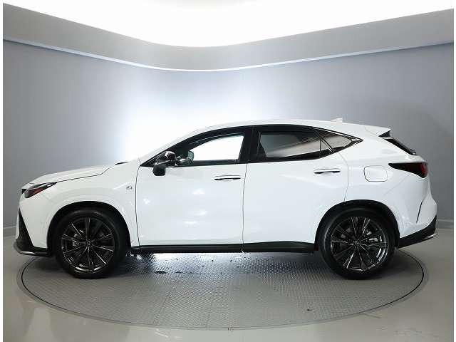 NX350h Fスポーツ