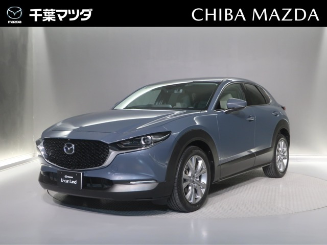 CX-302.0 20S プロアクティブ