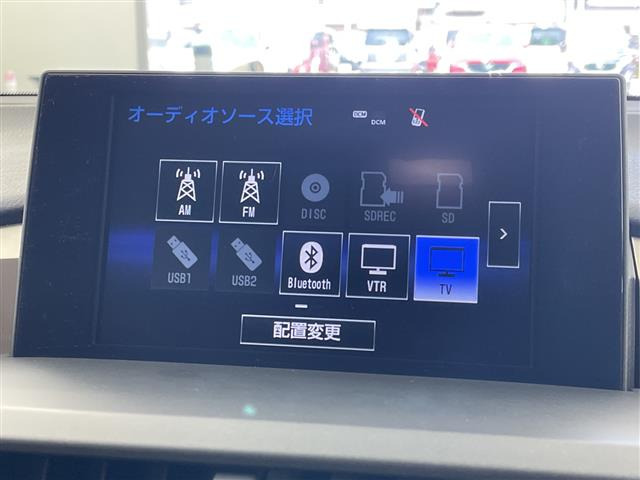 NX300h