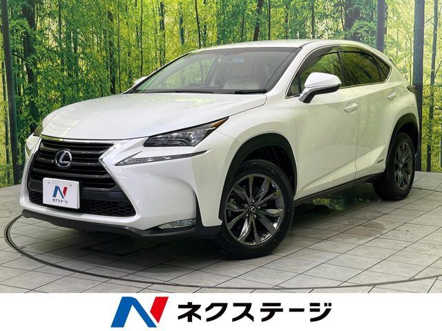 NX300h バージョンL