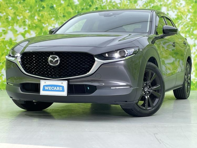 CX-302.0 20S ブラックトーンエディション