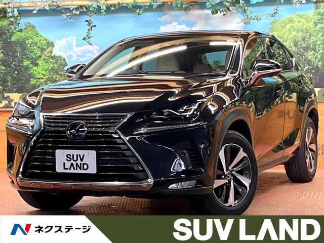 NX300h Iパッケージ