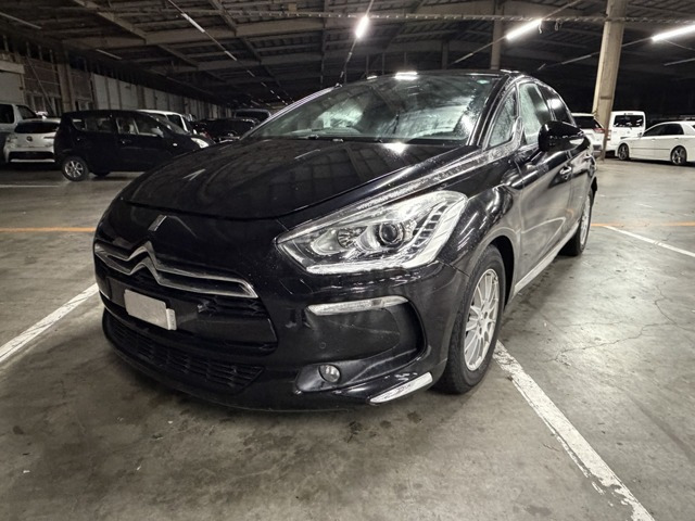 DS5シック