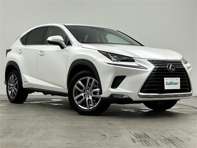 NX300h バージョンL