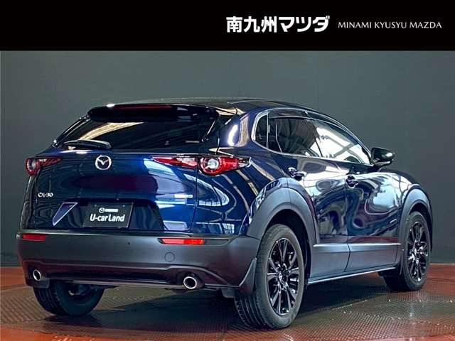 CX-30