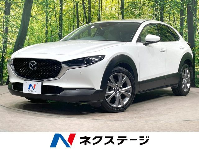 CX-301.8 XD Lパッケージ