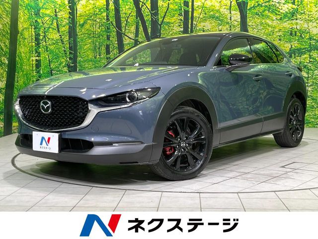 CX-302.0 20S ブラックトーンエディション