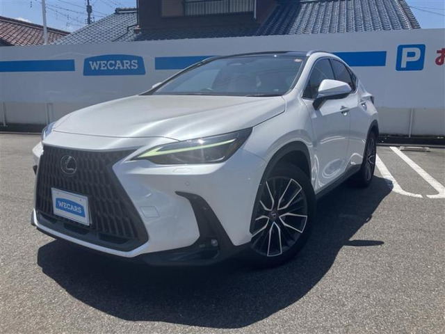 NX250 バージョンL