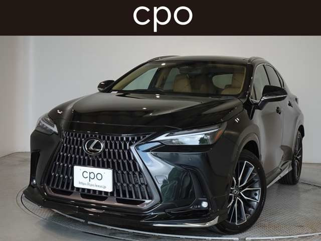 NX350h バージョンL