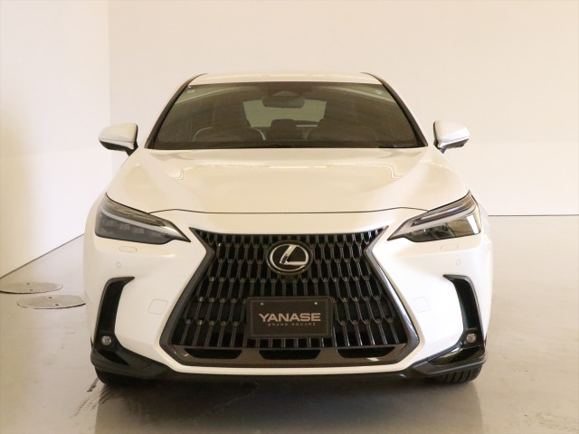 NX250 バージョンL