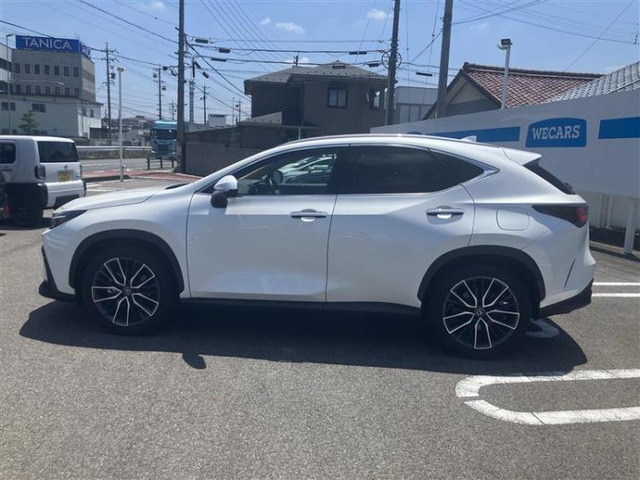 NX250 バージョンL