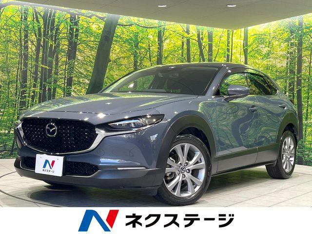 CX-302.0 20S プロアクティブ