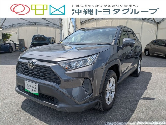 RAV42.0 X