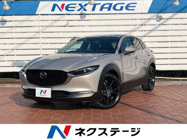 CX-302.0 20S ブラックトーンエディション