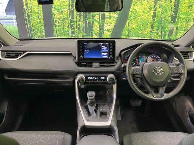 RAV42.0 X