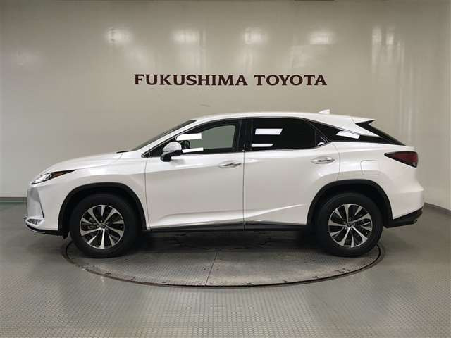 RX300