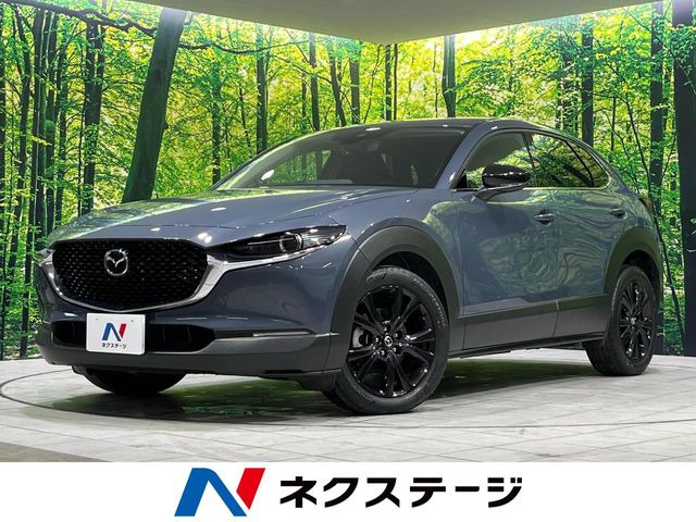 CX-302.0 20S ブラックトーンエディション