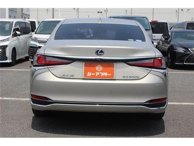 ���Ǝҗl�ւ̔̔��͂��f�肳���Ă��������܂��B�Ԍ������ԗ��̏ꍇ�́A�Ԍ����擾�������x�������z�ŕ\�����Ă���܂��B