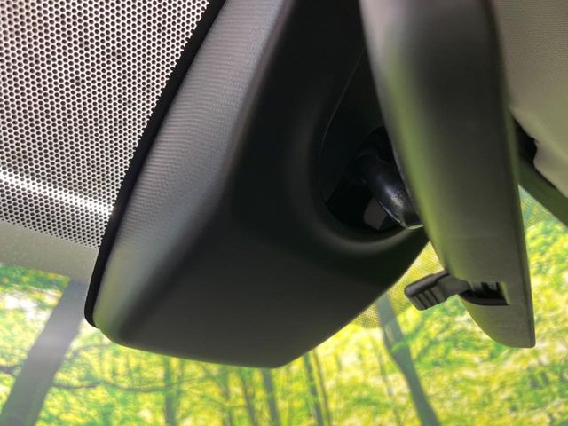 RAV42.0 X