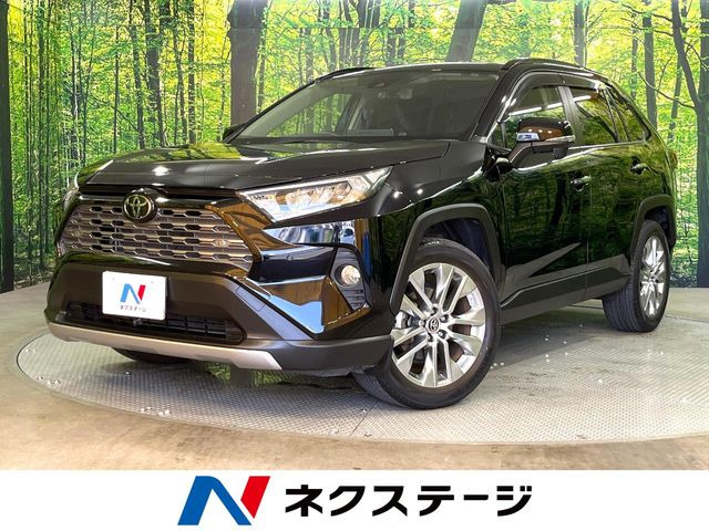 RAV42.0 G Zパッケージ 4WD