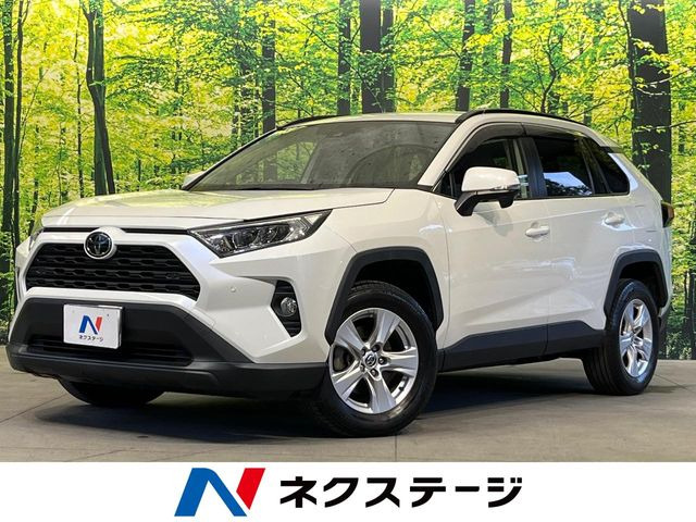 RAV42.0 X