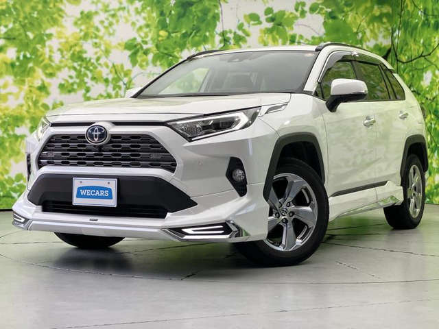 RAV42.5 ハイブリッド G E-Four 4WD