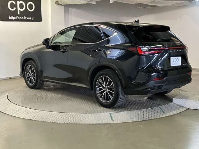 NX