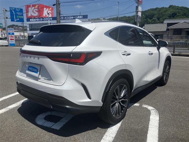 NX250 バージョンL