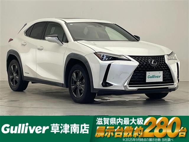 UX250h バージョンC