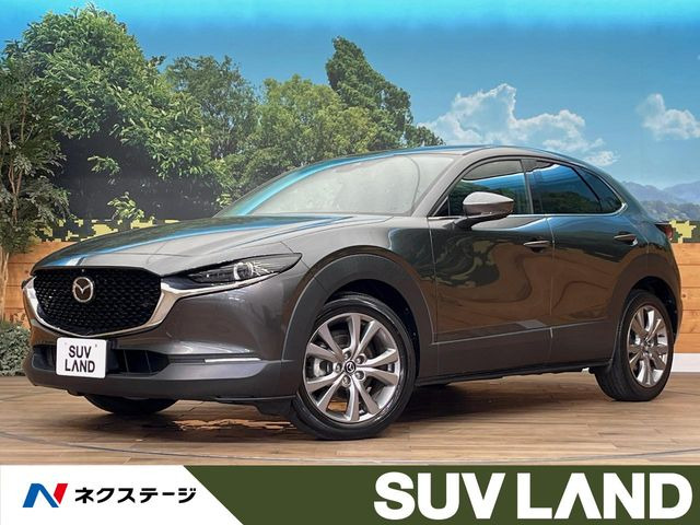 CX-301.8 XD Lパッケージ