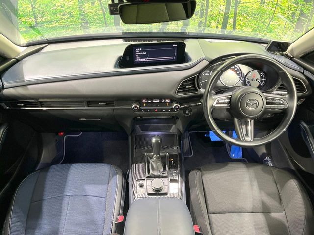 CX-302.0 20S プロアクティブ