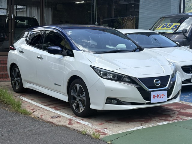 リーフG