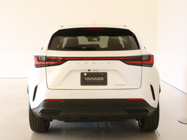 NX250 バージョンL