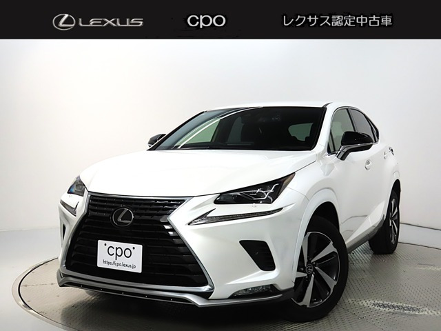 NX300