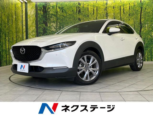 CX-301.8 XD Lパッケージ