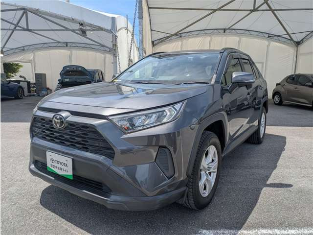 RAV42.0 X