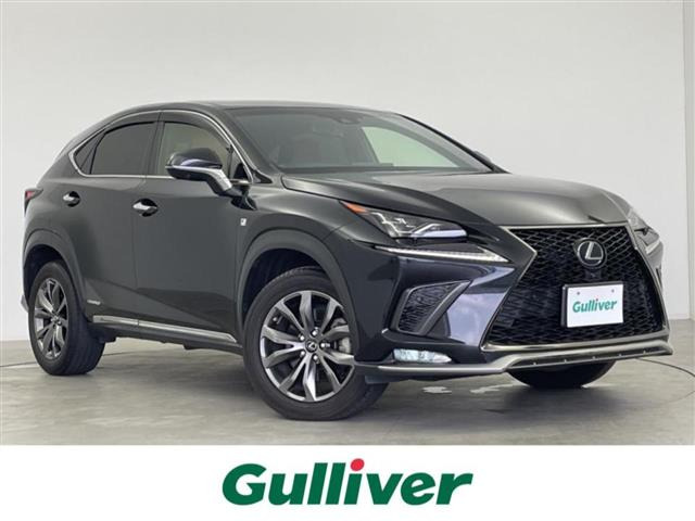 NX300h Fスポーツ