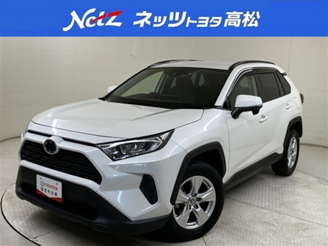 RAV42.0 X