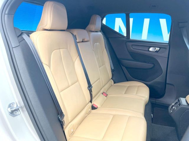 ���㕔���Ȃ��C�ɂȂ�悤�ȃL�Y�E�����ւ��蓙�A�傫�ȃ_���[�W�͂Ȃ��A�ǍD�ȏ�Ԃł��B