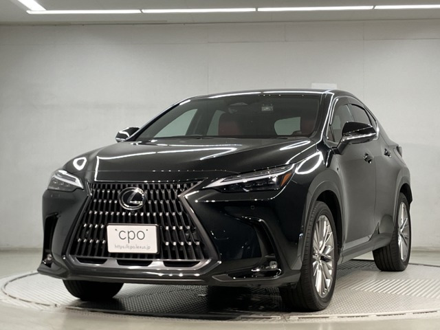 NX350h バージョンL