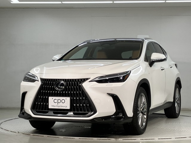NX350h バージョンL