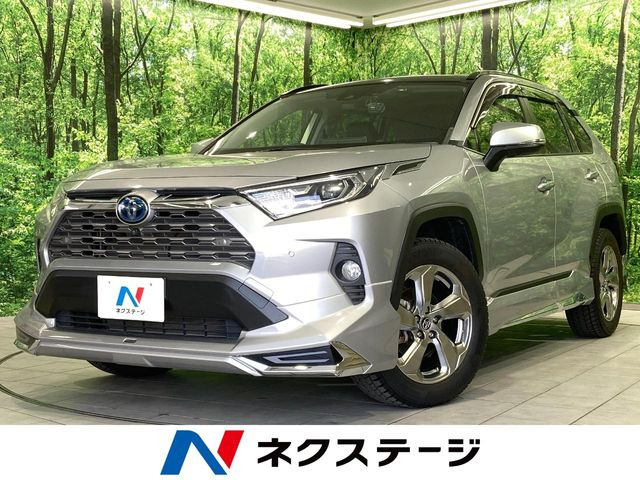 RAV42.5 ハイブリッド G E-Four 4WD