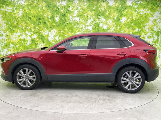 CX-301.8 XD Lパッケージ