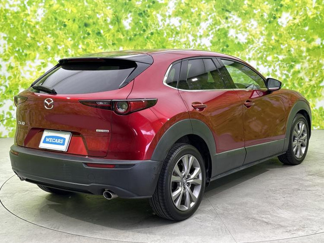 CX-301.8 XD Lパッケージ