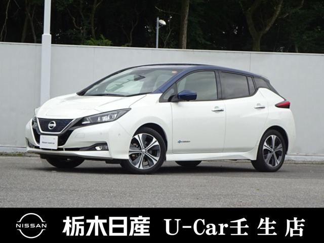 リーフG